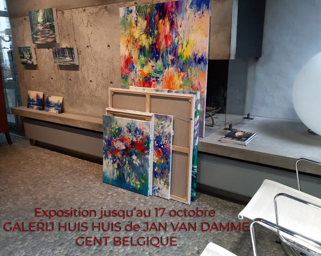 exposition Gand Galerie HUISHUIS Jan Van Damme juin 2020